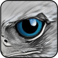 Eagle Eyes Search logo - Similar company to Arcortex Inc