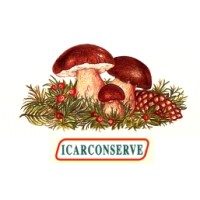 ICARCONSERVE S.R.L. logo - Similar company to Noval S.A.