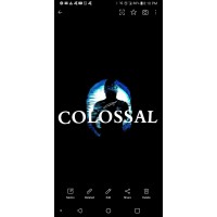 COLOSSAL LAWN CARE LLC