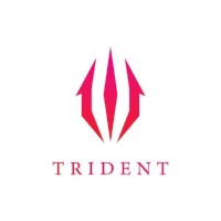 Trident Apac Pty Ltd logo - Similar company to Mellado & Co Pty Ltd