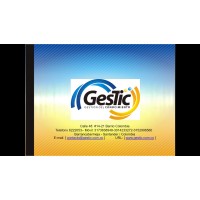 Gestic ; Sas logo - Similar company to Gestic