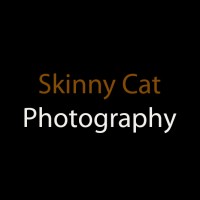 Skinny Cat Photography