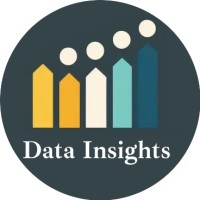 Data Insights logo - Similar company to Data Insight