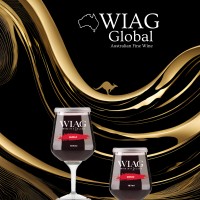 WIAG Global logo - Similar company to Gomobile Il