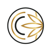 Clear Choice Consultants Inc logo - Similar company to Cchoice It
