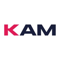 KAM Insight logo - Similar company to Schoolofreallife-Beyondclass