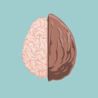Therapy in a Nutshell logo - Similar company to Explore & Learn, Llc.