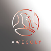 AWECOLY logo - Similar company to A8.Net