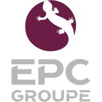 EPC Andina logo - Similar company to Newfields Mining Design & Technical Services, Llc