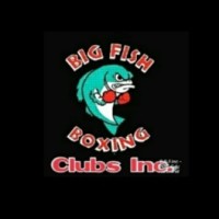 BIG FISH BOXING llc. logo - Similar company to American Boxing & Fitness Inc