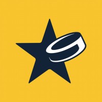 Topscorers – The Hockey Manager logo - Similar company to Agentmedia