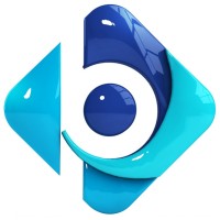 Blue Pictures logo - Similar company to Wrong Films