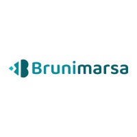 BRUNIMARSA logo - Similar company to Gerotrans