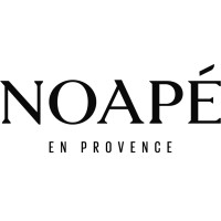 Noapé logo - Similar company to Coffee Mastery
