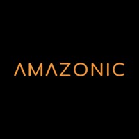 Amazonic logo - Similar company to Amazonics