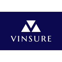 Vinsure Pro Pvt Ltd. logo - Similar company to Delvetek Consulting