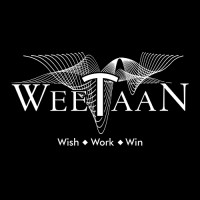 WeeTaaN Digital Consulting logo - Similar company to Invofinity