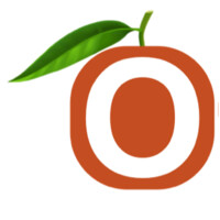 Ofurnish Ventures Pvt Ltd logo - Similar company to Night Light