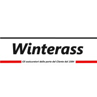 Winterass srl logo - Similar company to Ea Technical Vision Srl