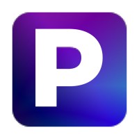Payce logo - Similar company to Netdebt