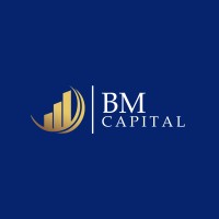 BM Capital logo - Similar company to Gibgi