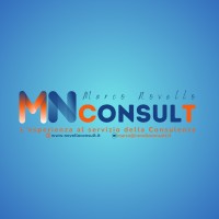 MN Consulting logo - Similar company to Mollebalestra Spa