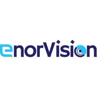 Enorvision AIML Limited logo - Similar company to Softec It Solutions