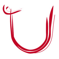 U-Studio.Agency logo - Similar company to Ustudio