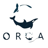ORCA ENGINEERING logo - Similar company to Turboturk Engineering