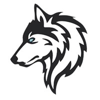 Iwolfsolution logo - Similar company to Vuela Web