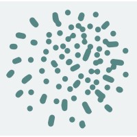 Hidden Strengths Learning logo - Similar company to Lexi Learn