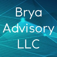 Brya Advisory, LLC logo - Similar company to The Great Twist