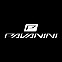 PAVANINI DESIGN logo - Similar company to 4|Boss Brasil