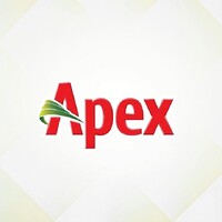 Apex Footwear Limited logo - Similar company to Ontik Creative
