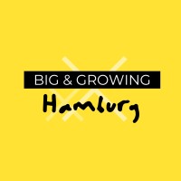 Big & Growing New Work Festival Hamburg logo - Similar company to Siomo - Das Büro Der Guten Entwicklung