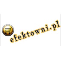 Efektowni.pl logo - Similar company to Gb Pro