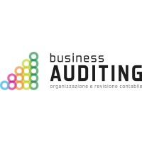 Business Auditing logo - Similar company to Locem Solutions