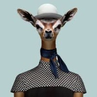Gerenuk Entertainment