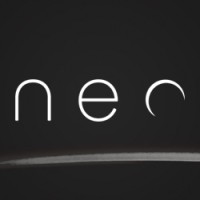 NEO Holdings logo - Similar company to 2M Advisory