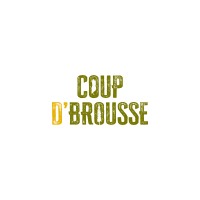 Coup d'Brousse Voyage en Nouvelle-Calédonie logo - Similar company to Jlt Voyages - L’Agence Spécialiste Tahiti & Ses Îles