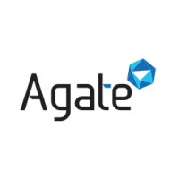 Agate Project Management LLC logo - Similar company to Consult Kumar® - The Gold Standard In Business Setup