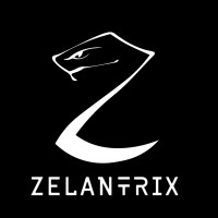 Zelantrix logo - Similar company to Access Denied Bmsit