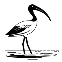 Ibis Coordination logo - Similar company to Calculist