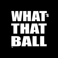 What's That Ball logo - Similar company to Fitwise Ai