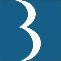BlueTop Group logo - Similar company to Alpha Asia Pacific