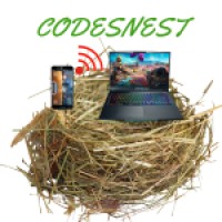 CODESNEST logo - Similar company to Punjab Communications Limited