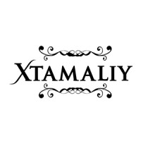 Xtamaliy logo - Similar company to Asher -Team Technology