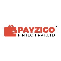Payzigo Fintech Private Limited logo - Similar company to Neoteq Software Pvt Ltd