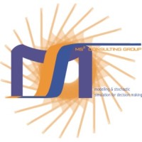 MS2 Consulting Group logo - Similar company to Lola Solutions