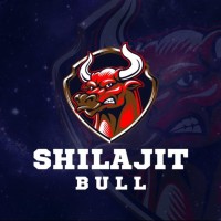 Shilajit Bull logo - Similar company to Shilajit Baba